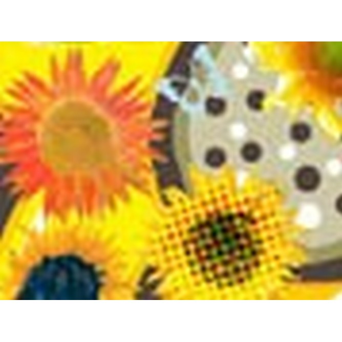Girasole